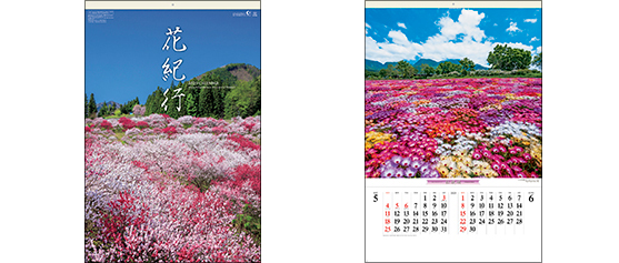 E253〈旧216〉