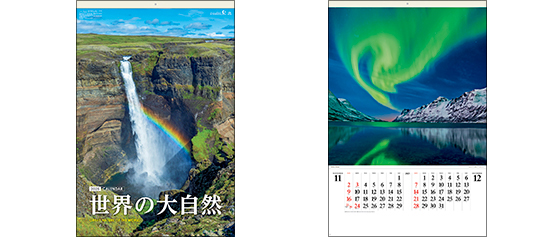 E261〈旧206〉