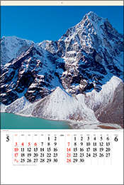E262
