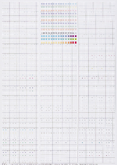 Anima in Printing Technology_Poster-A