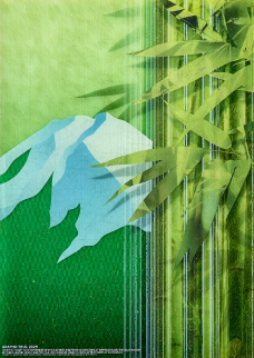 夏の竹林 － 緑のこもれび