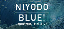 NIYODO BLUE!