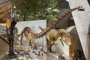 群馬県立自然史博物館