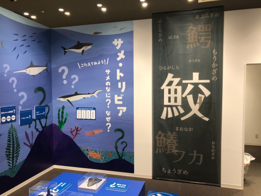 サメ・トリビア