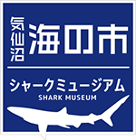 気仙沼「海の市」/シャークミュージアム