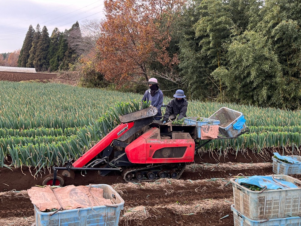 農作業を委託したい農家と受託できる農業法人をマッチング！農業分野の地域産業活性化事例