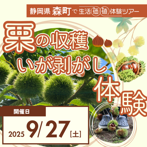 Instagramでの広告出稿イメージ