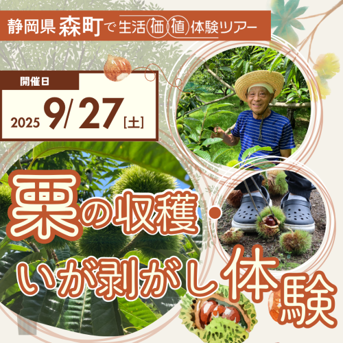 Instagramでの広告出稿イメージ