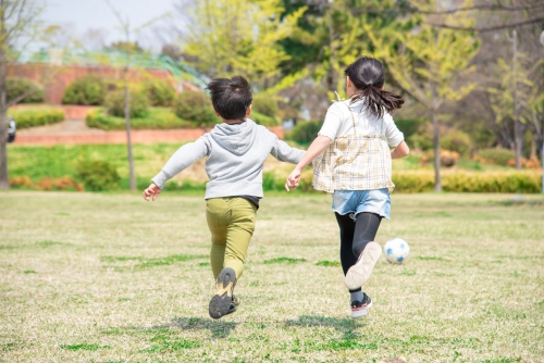 広島市の子育て支援事業｜オンライン申請とシステム連携で事務局運営を効率化