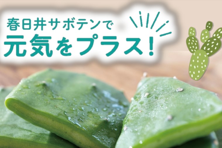 地域資源を活用した商品開発・ブランド確立支援