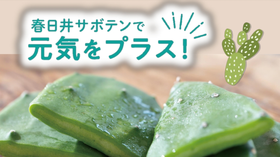 【愛知県春日井市】食用サボテンを使用した新グルメ開発