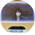 VoiceBiz® UCDisplay®