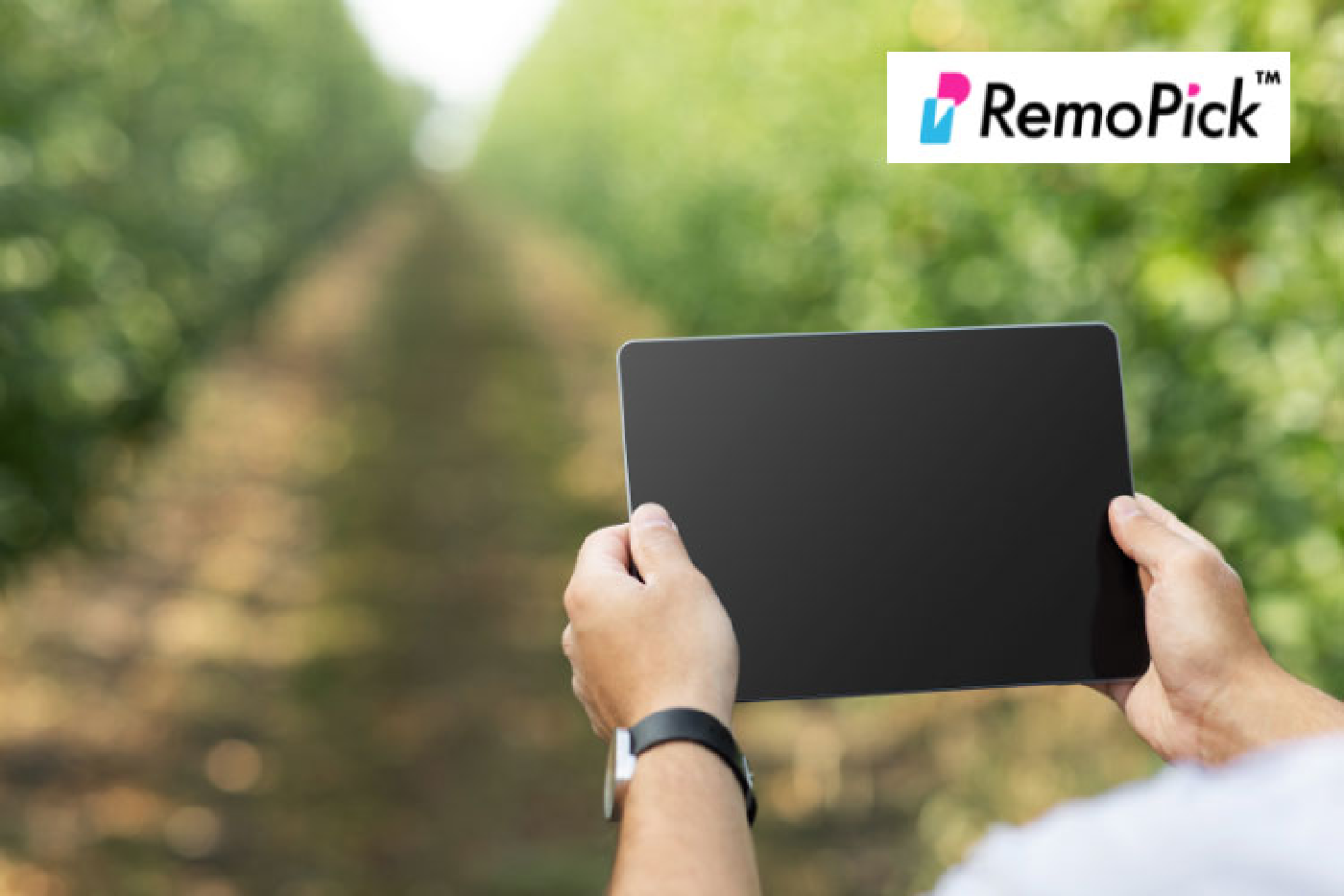 RemoPick®
